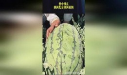 吃瓜搞笑声音大全下载免费,欢乐无限
